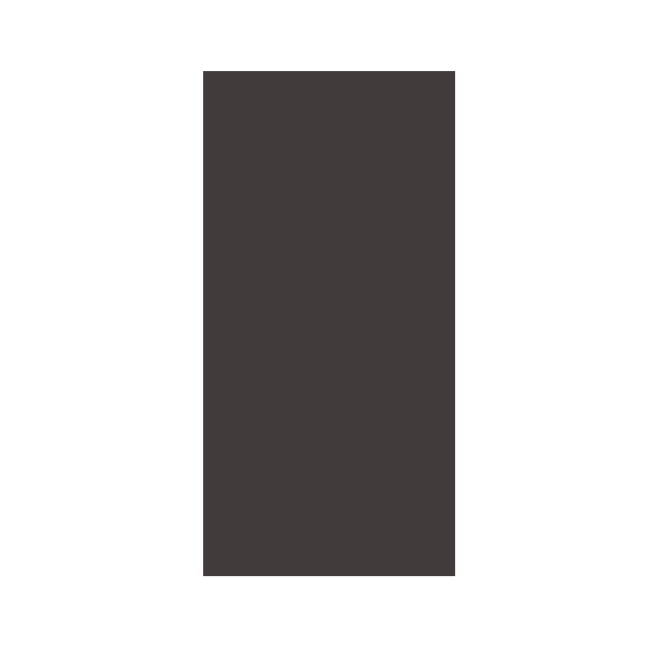 E/Fix Blank Plate Module 25×50 BL