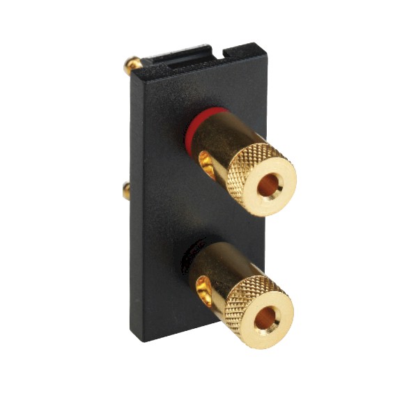 E/Fix 2XGold Binding Post Skt 25×50 BL