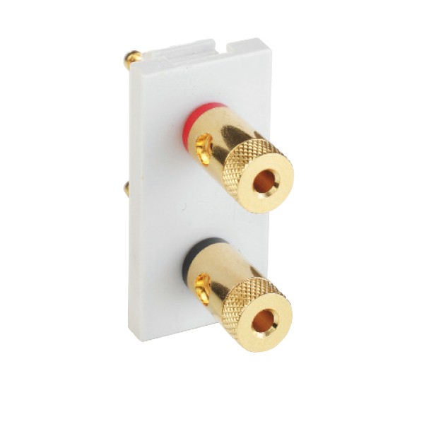 E/Fix 2XGold Binding Post Skt 25×50 WH