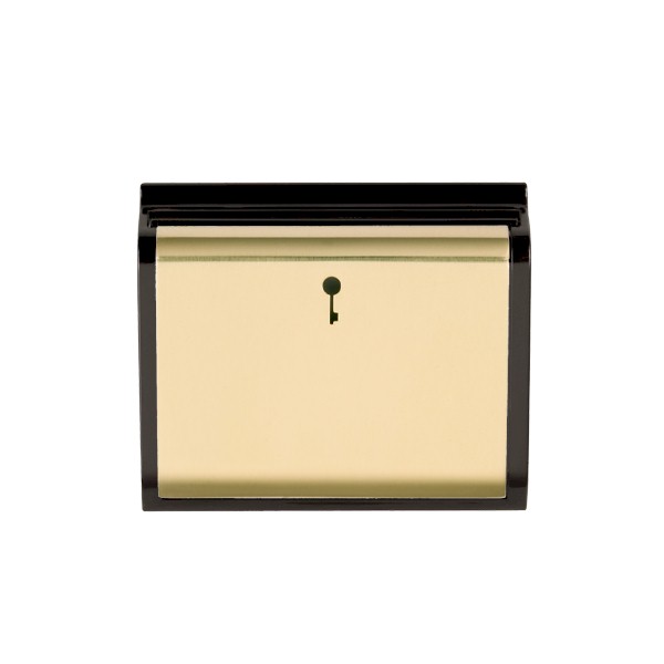 E/Fix 10A (6AX) Card Swt 50×50 PB/BL
