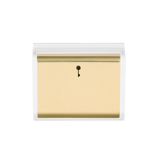 E/Fix 10A (6AX) Card Swt 50×50 PB/WH
