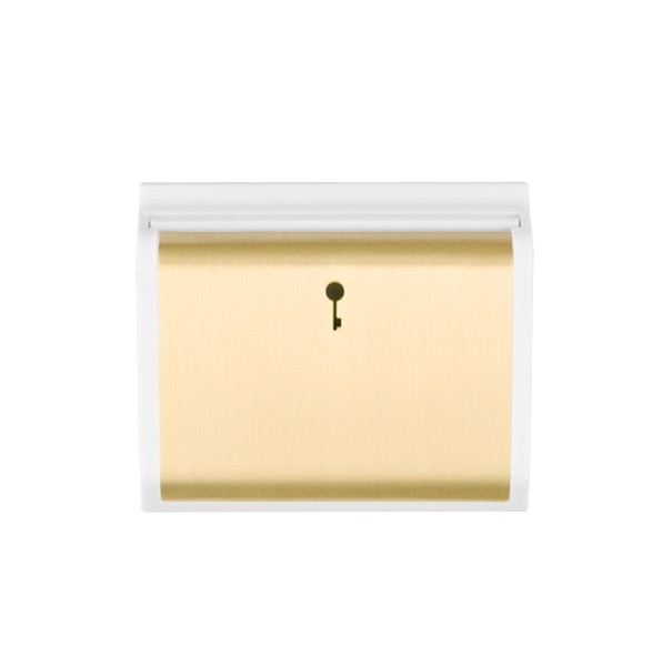 E/Fix 10A (6AX) Card Swt 50×50 SB/WH