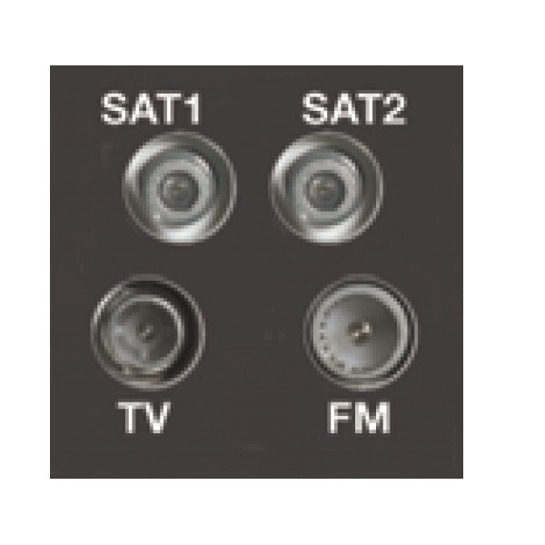 E/Fix Non-Isolated TV+FM+2XSAT 50×50 BL