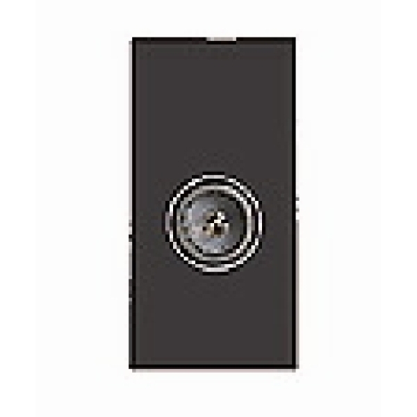 E/Fix Non-Isolated TV (Female) 25×50 BL