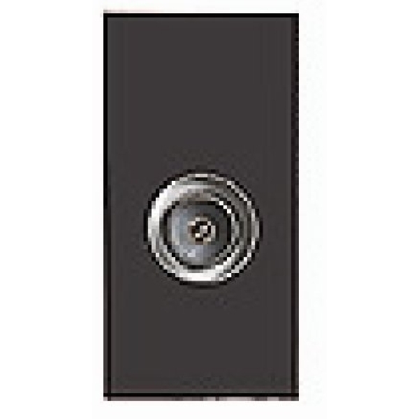 E/Fix Non-Isolated TV (Male) 25×50 BL