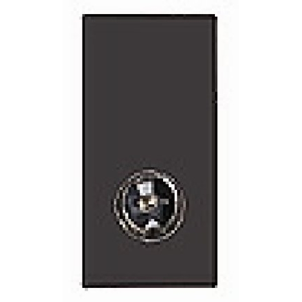 E/Fix Isolated TV 1in/1out 25×50 BL
