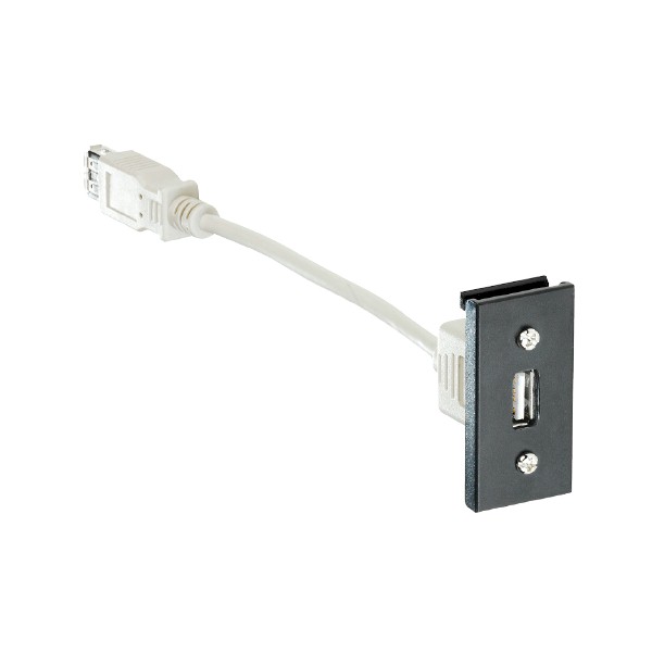 E/Fix USB2 Type A Skt Fem-Fem 25×50 BL
