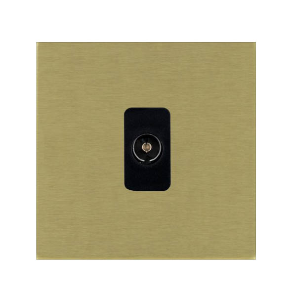 Sher G2 SB 1g Non-Isolate TV 1in/1out BL