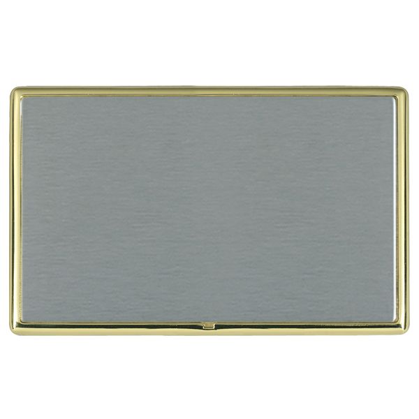 L-Ron CFX PB/SS Double Blank Plate