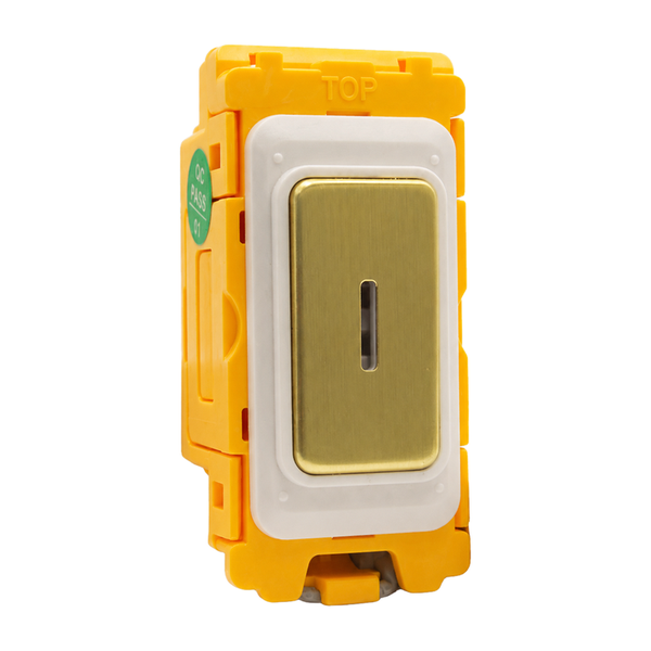 Grid-IT Front Loading 20AX 2 Way Key Switch Module Satin Brass and Black/White Bezels