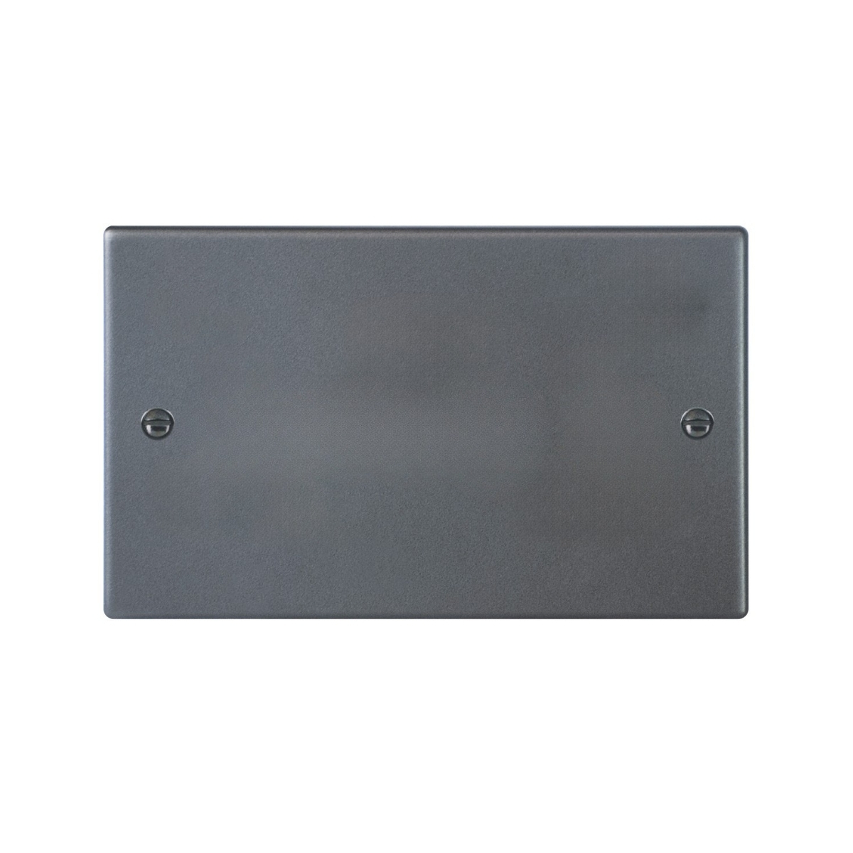 Hart GA Double Blank Plate
