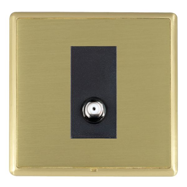 L-Ron CFX SB/SB 1g Isolated Satellite BL