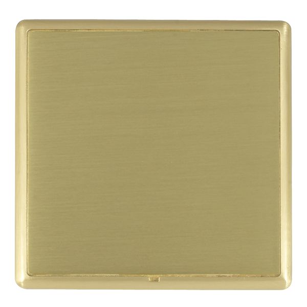 L-Ron CFX SB/SB Single Blank Plate