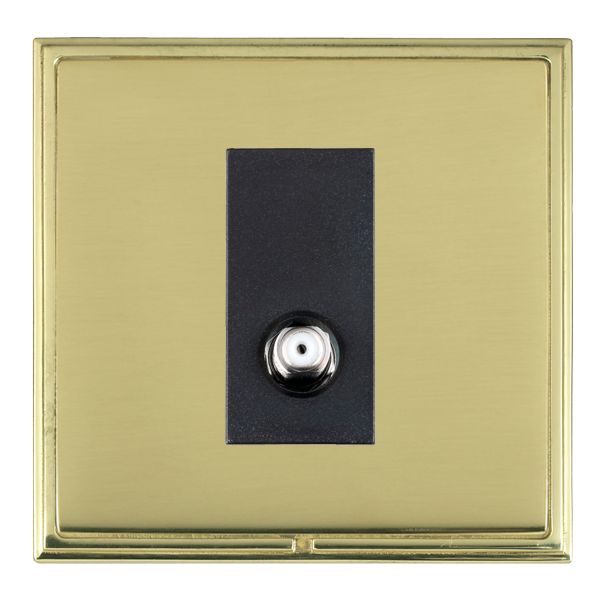 L-Sca CFX PB/PB 1g Isolated Satellite BL