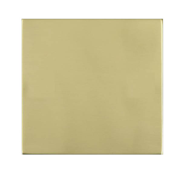 Shr G2 PB Single Blank Plate