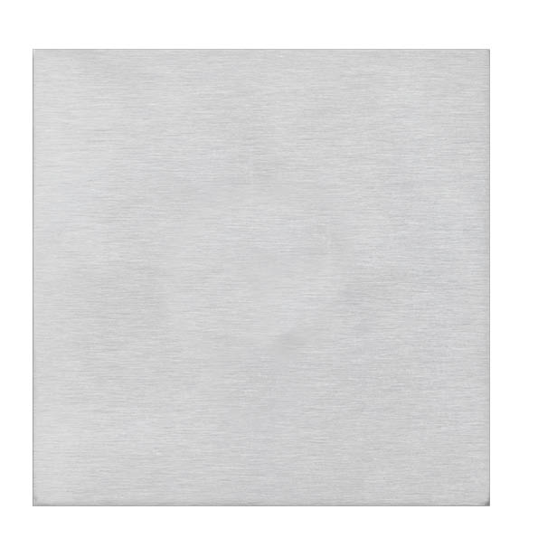 Shr G2 SS Single Blank Plate