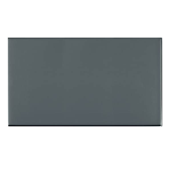 Shr G2 BK Double Blank Plate