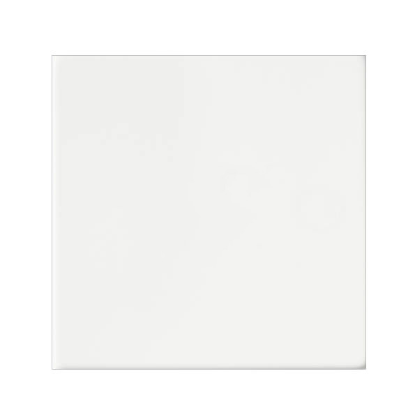 Shr G2 MW Single Blank Plate
